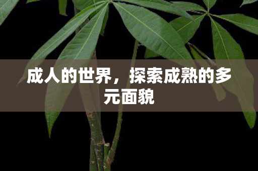 成人的世界,探索成熟的多元面貌 成人的世界,探索成熟的多元面貌