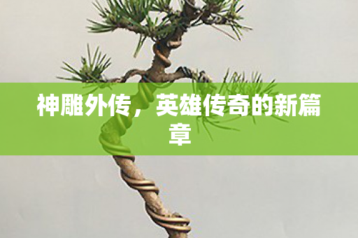 神雕外传，英雄传奇的新篇章