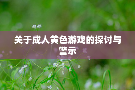 关于成人黄色游戏的探讨与警示