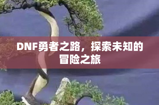 DNF勇者之路，探索未知的冒险之旅