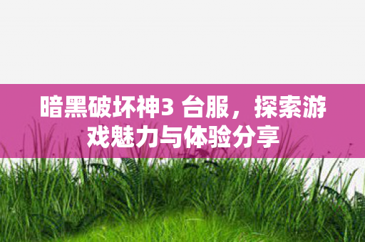 暗黑破坏神3 台服,探索游戏魅力与体验分享 暗黑破坏神3 台服,探索游戏魅力与体验分享