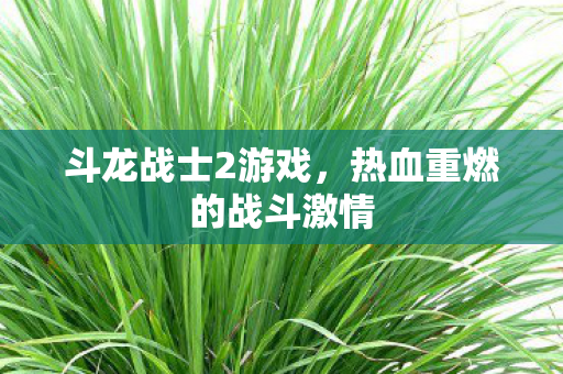 斗龙战士2游戏,热血重燃的战斗激情 斗龙战士2游戏,热血重燃的战斗激情