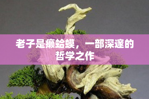 老子是癞蛤蟆，一部深邃的哲学之作