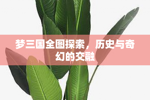 梦三国全图探索，历史与奇幻的交融