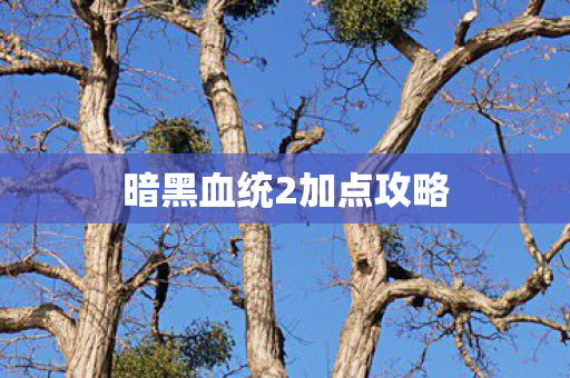 暗黑血统2加点攻略