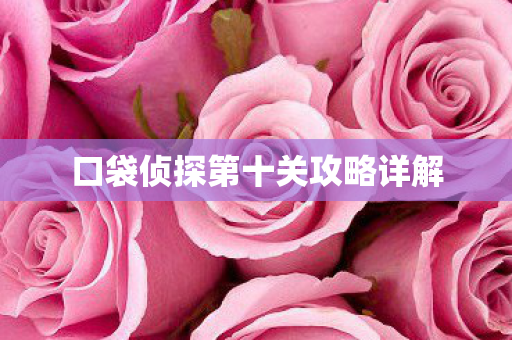 口袋侦探第十关攻略详解