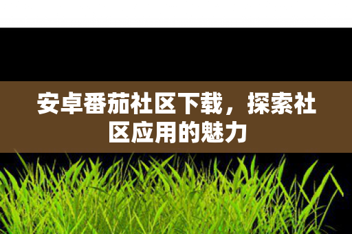 安卓番茄社区下载，探索社区应用的魅力