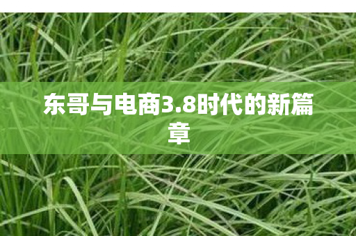 东哥与电商3.8时代的新篇章