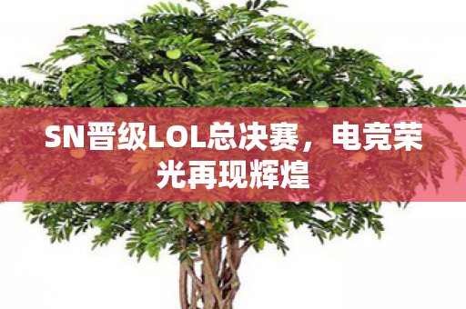 SN晋级LOL总决赛，电竞荣光再现辉煌