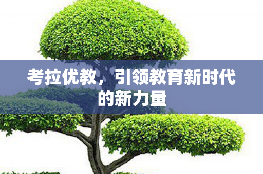 考拉优教，引领教育新时代的新力量