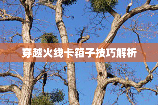 穿越火线卡箱子技巧解析