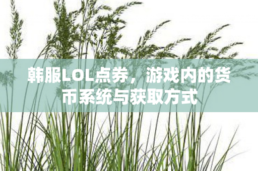 韩服LOL点券，游戏内的货币系统与获取方式