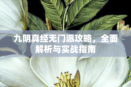 九阴真经无门派攻略，全面解析与实战指南