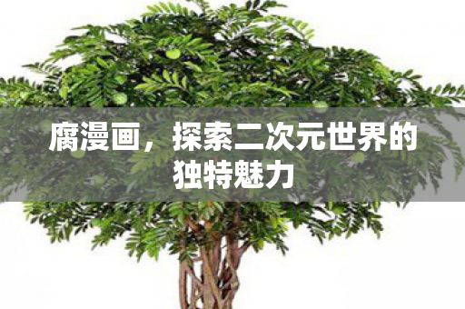 腐漫画，探索二次元世界的独特魅力