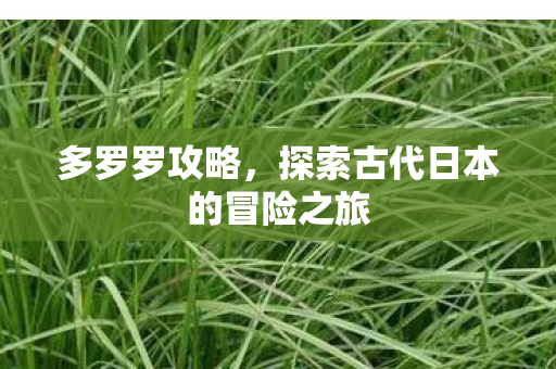 多罗罗攻略，探索古代日本的冒险之旅