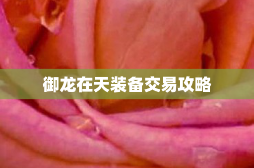 御龙在天装备交易攻略