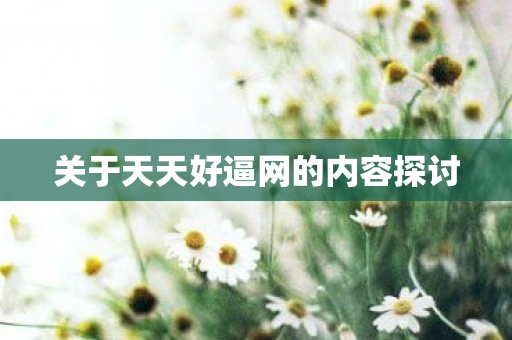 关于天天好逼网的内容探讨
