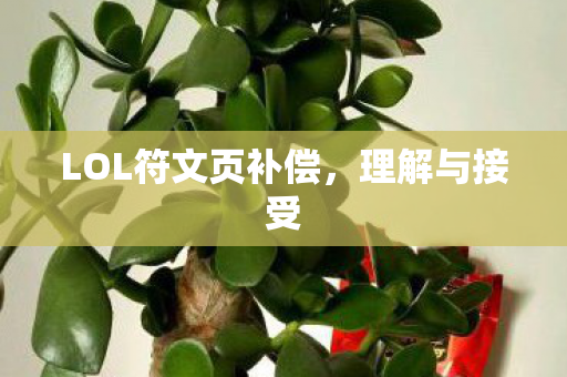 LOL符文页补偿，理解与接受