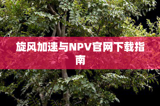 旋风加速与NPV官网下载指南
