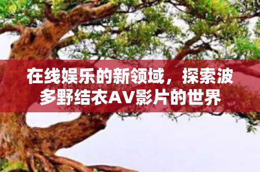 在线娱乐的新领域，探索波多野结衣AV影片的世界
