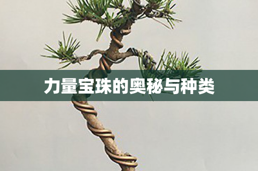 力量宝珠的奥秘与种类