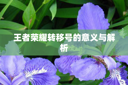 王者荣耀转移号的意义与解析 王者荣耀转移号的意义与解析