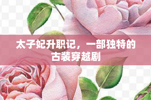 太子妃升职记，一部独特的古装穿越剧