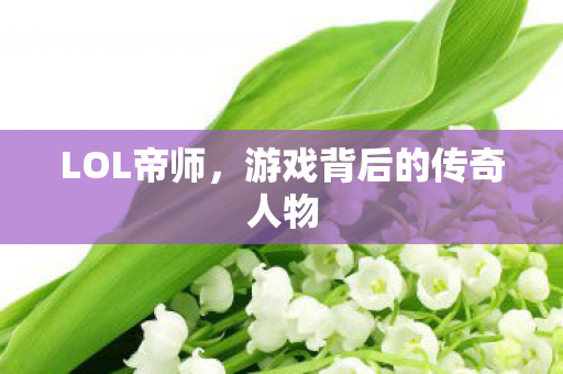 LOL帝师，游戏背后的传奇人物