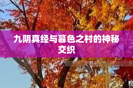 九阴真经与暮色之村的神秘交织