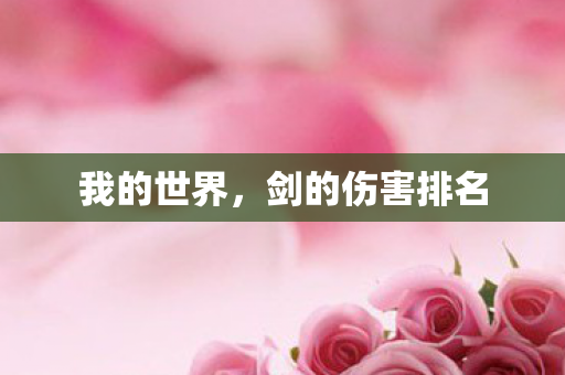 我的世界，剑的伤害排名