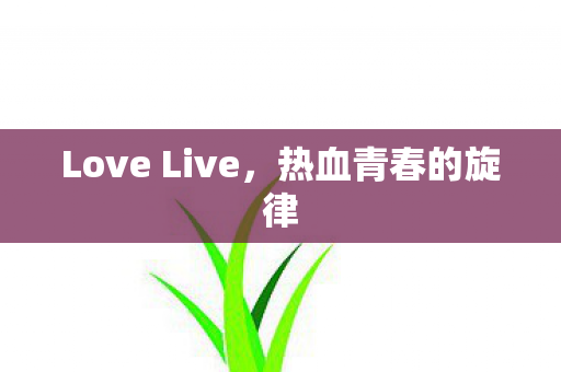 Love Live，热血青春的旋律