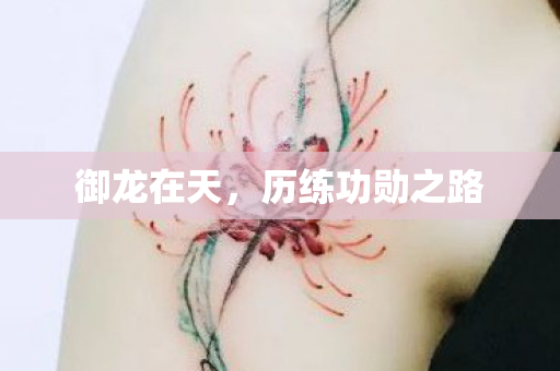 御龙在天，历练功勋之路