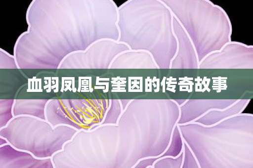 血羽凤凰与奎因的传奇故事