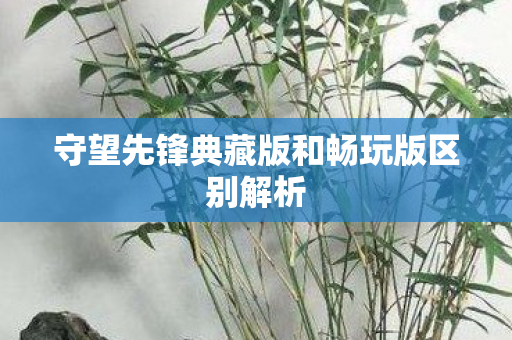 守望先锋典藏版和畅玩版区别解析