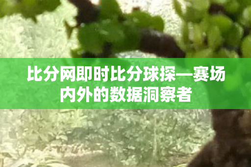 比分网即时比分球探—赛场内外的数据洞察者