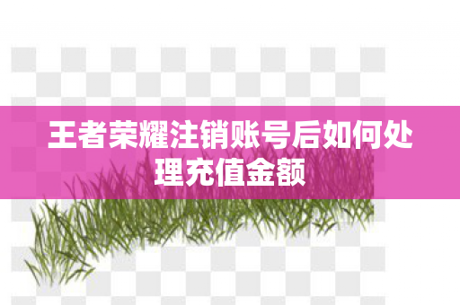 王者荣耀注销账号后如何处理充值金额
