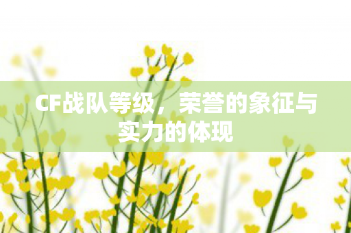 CF战队等级，荣誉的象征与实力的体现