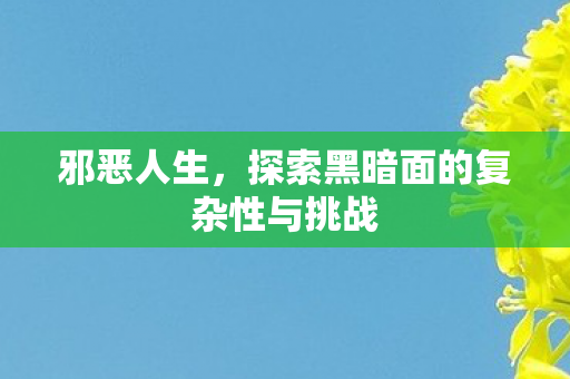邪恶人生，探索黑暗面的复杂性与挑战
