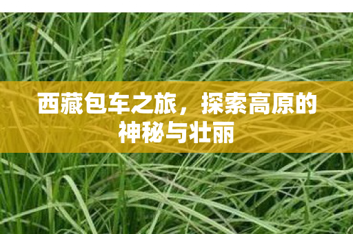 西藏包车之旅，探索高原的神秘与壮丽