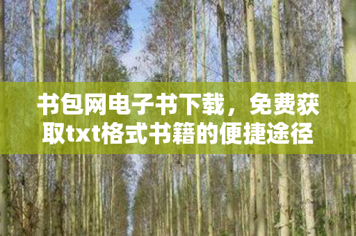 书包网电子书下载，免费获取txt格式书籍的便捷途径