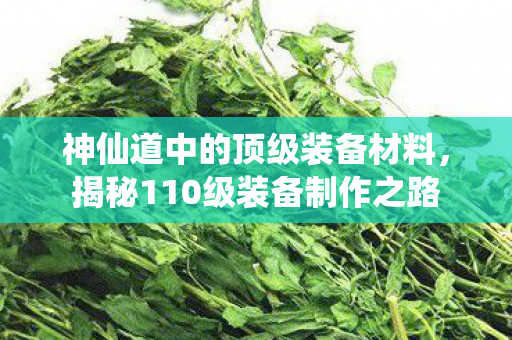 神仙道中的顶级装备材料，揭秘110级装备制作之路