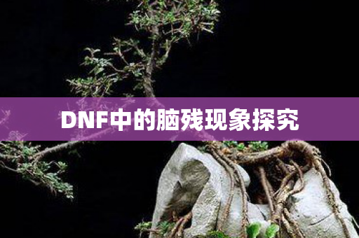 DNF中的脑残现象探究