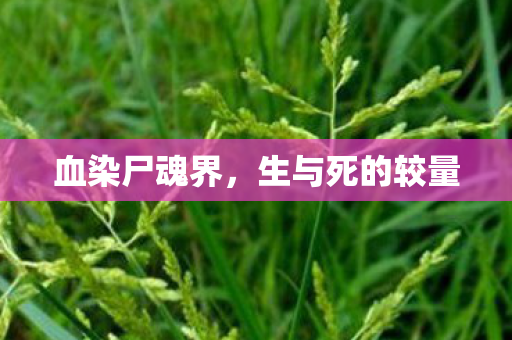 血染尸魂界，生与死的较量