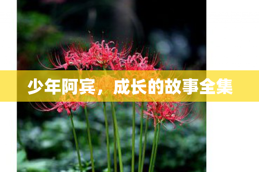 少年阿宾，成长的故事全集