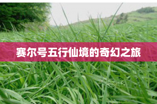 赛尔号五行仙境的奇幻之旅