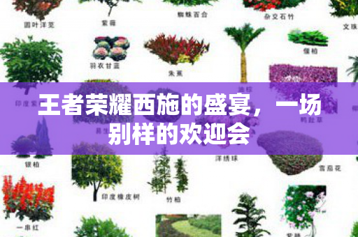 王者荣耀西施的盛宴，一场别样的欢迎会