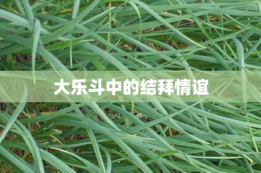 大乐斗中的结拜情谊