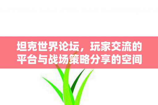 坦克世界论坛，玩家交流的平台与战场策略分享的空间