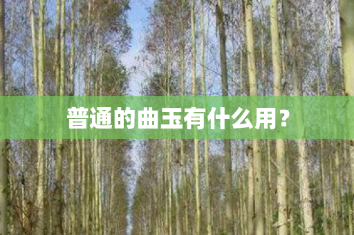 普通的曲玉有什么用？