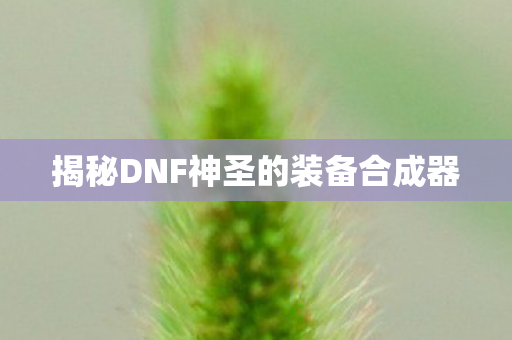 揭秘DNF神圣的装备合成器
